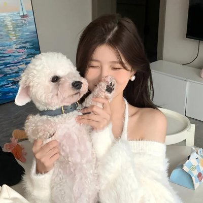 彩岛人生