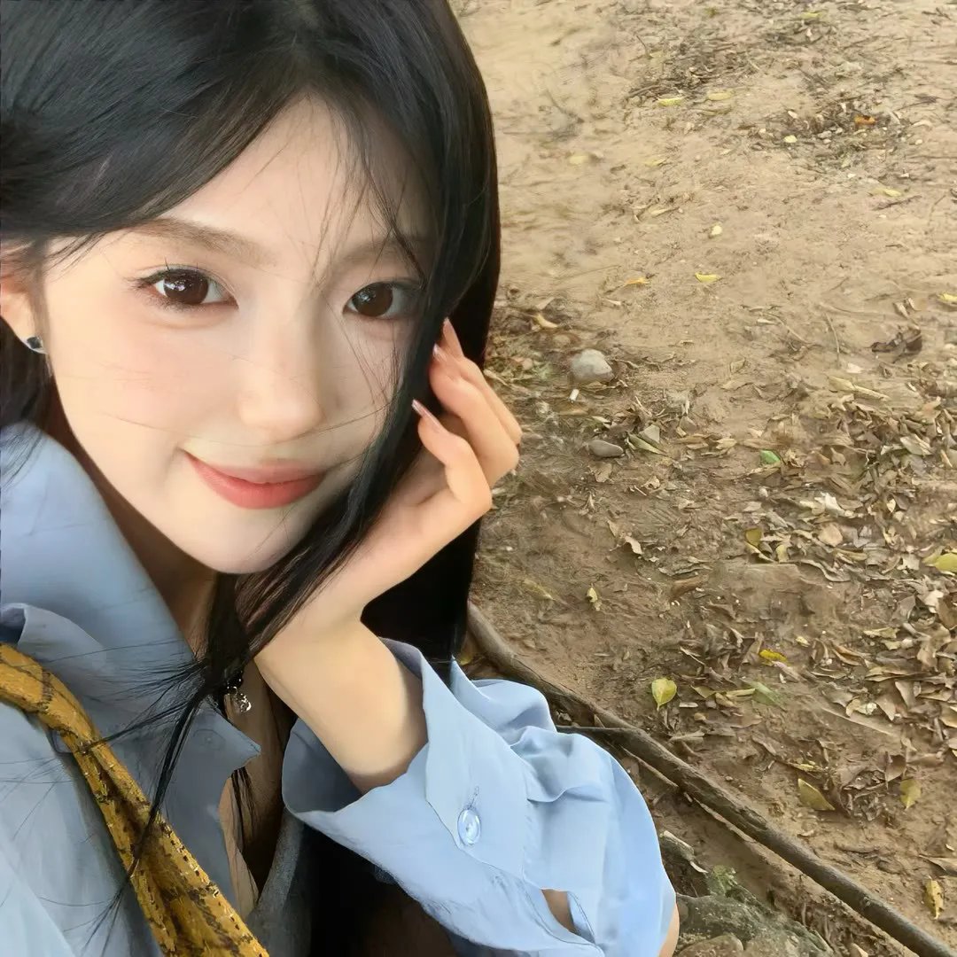 挎斗摩托车里的狗